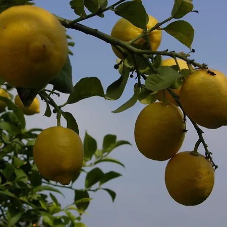 Apartman Vacations Tavira