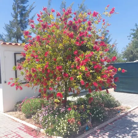 Vacations شقة تافيرا