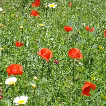 Vacations Appartement Tavira