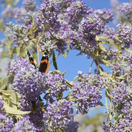 Apartman Vacations Tavira