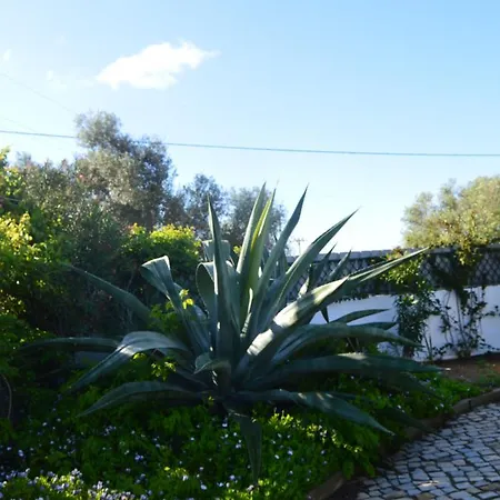 Vacations Tavira