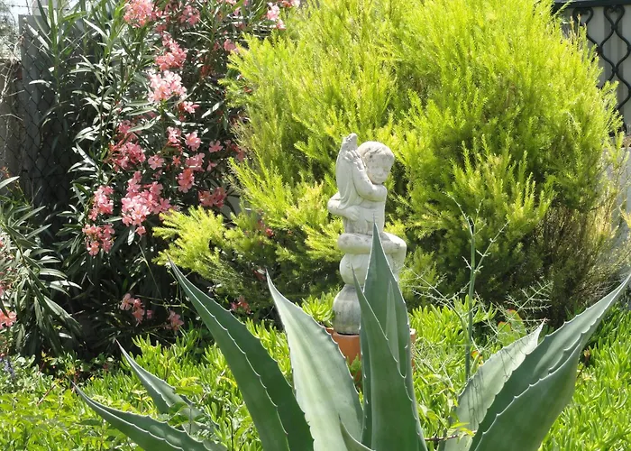 公寓 塔维拉度假公寓 *