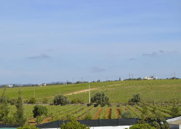 公寓 塔维拉度假公寓