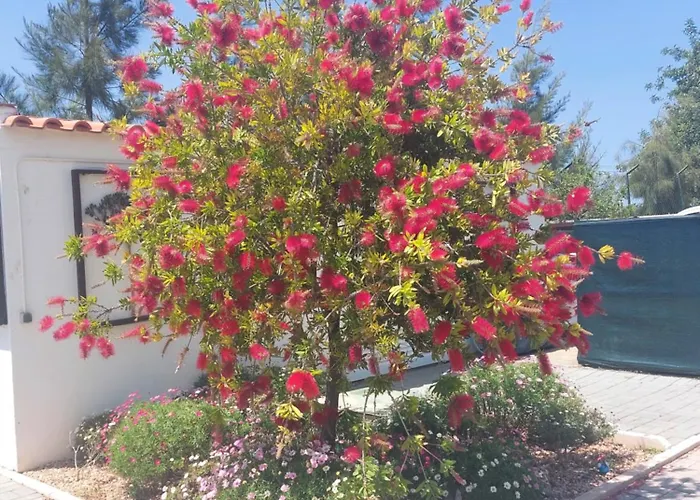 塔维拉度假公寓 公寓 塔维拉