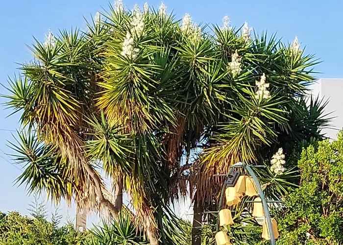 塔维拉度假公寓 *