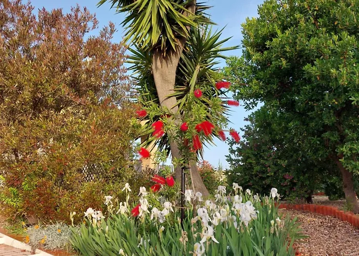 公寓 塔维拉度假公寓 *